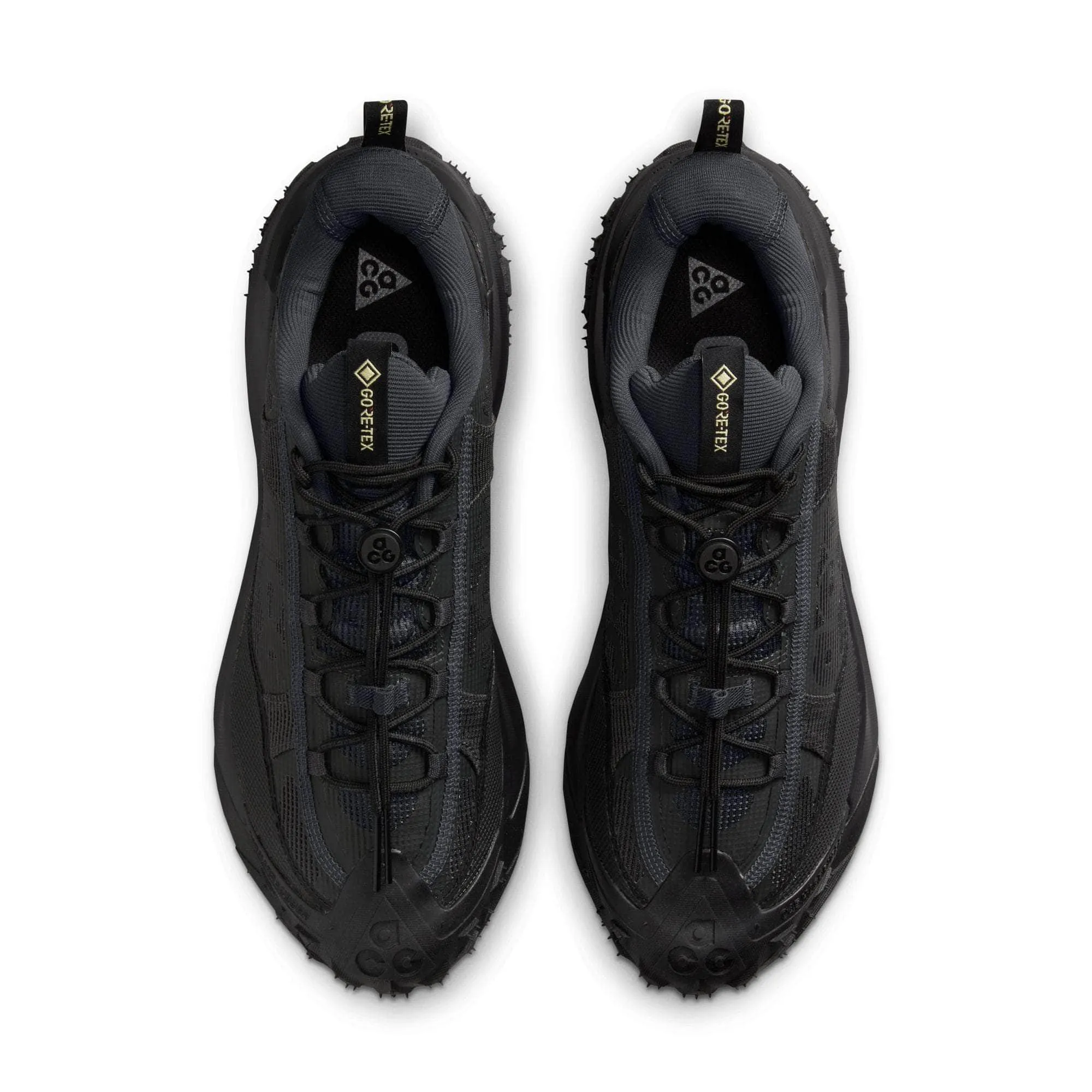 Nike ACG Mountain Fly 2 Low GORE-TEX - Men's