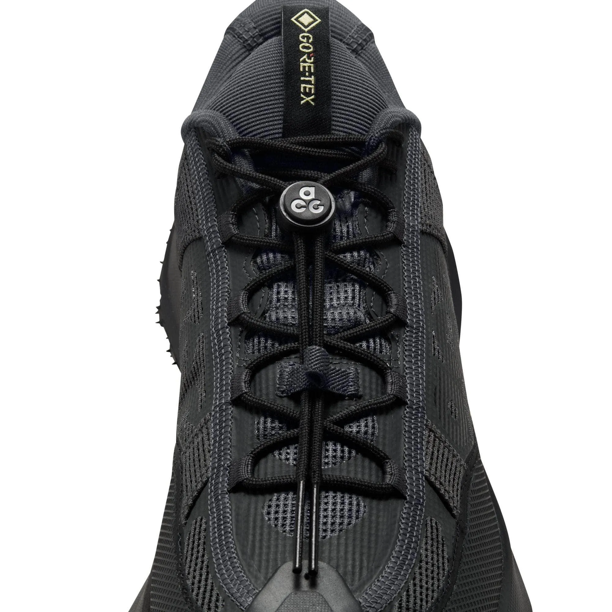 Nike ACG Mountain Fly 2 Low GORE-TEX - Men's